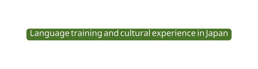 Language training and cultural experience in Japan