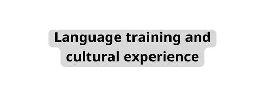 Language training and cultural experience