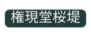 権現堂桜堤