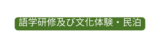 語学研修及び文化体験 民泊