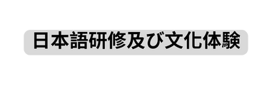 日本語研修及び文化体験