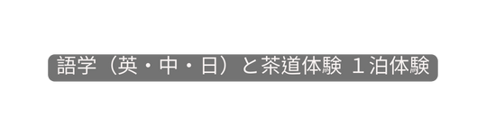 語学 英 中 日 と茶道体験 １泊体験